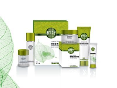 销售收入预测表模板_化妆品销售收入(2)